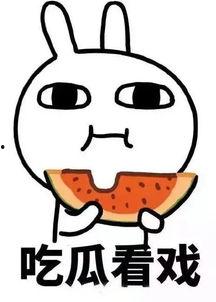 娱乐吃瓜群众2,揭秘娱乐圈背后的秘密与八卦