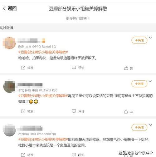 娱乐吃瓜除了豆瓣